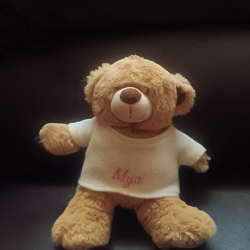 MILESKIMBALL PERSONALIZED SMALL BEAR STUFFED ANIMAL.